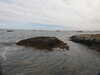 20200901162511-DSCN4478.JPG