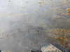 20200901162941-DSCN4491.JPG