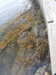 20200901162944-DSCN4492.JPG