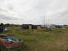 20200901163833-DSCN4507.JPG