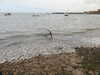 20200901163921-DSCN4508.JPG