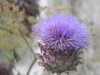 20200901164135-DSCN4518.JPG