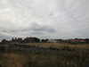 20200901164456-DSCN4521.JPG
