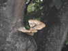 20200901164737-DSCN4526.JPG