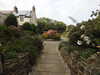 20200901165647-DSCN4533.JPG