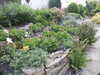 20200901165649-DSCN4534.JPG