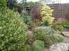 20200901165736-DSCN4540.JPG