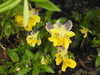 20200901165856-DSCN4545.JPG