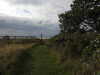 20200901170401-DSCN4551.JPG