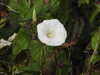 20200901170413-DSCN4552.JPG