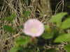 20200901170459-DSCN4556.JPG