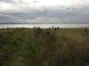 20200901170650-DSCN4559.JPG
