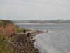 20200901170829-DSCN4564.JPG