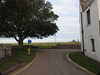 20200901171732-DSCN4569.JPG
