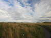 20200902085356-DSCN4586.JPG