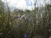 20200902094124-DSCN4615.JPG
