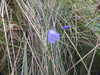 20200902094130-DSCN4616.JPG