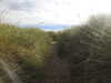 20200902094230-DSCN4617.JPG