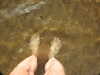 20200902094936-DSCN4632.JPG