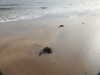 20200902095415-DSCN4637.JPG