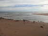 20200902100454-DSCN4653.JPG