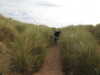 20200902104910-DSCN4671.JPG