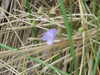 20200902105016-DSCF5271.JPG