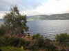 20200905094107-DSCN4680.JPG