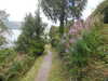 20200905094112-DSCN4681.JPG