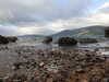 20200905094206-DSCN4686.JPG