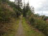 20200905094306-DSCN4694.JPG