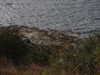 20200905122921-DSCN4700.JPG