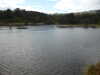 20200905133050-P1310703.JPG