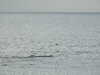 20200905151406-DSCN4709.JPG