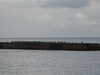 20200905151702-DSCN4721.JPG