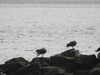 20200905151725-DSCN4722.JPG