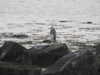 20200905193244-DSCN4734.JPG