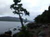 20200905211930-DSCF5334.JPG
