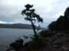 20200905211935-DSCF5335.JPG