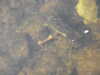 20200906095425-DSCN4771.JPG