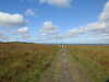 20200906131354-DSCN4777.JPG