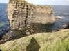 20200906132838-DSCN4796.JPG