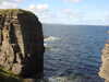 20200906132847-DSCN4799.JPG