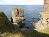 20200906133448-DSCN4805.JPG