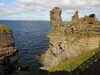 20200906133459-DSCN4806.JPG