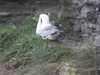 20200906133740-DSCN4814.JPG