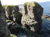 20200906134023-DSCN4822.JPG