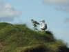 20200906134043-DSCN4823.JPG