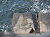 20200906134055-DSCN4824.JPG