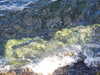 20200906134148-DSCN4826.JPG